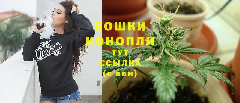 Шишки марихуана OG Kush  купить  цена  ОМГ ОМГ онион  Городовиковск 